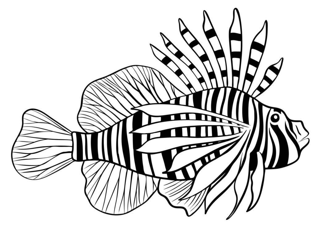 Lionfish ki asaan drawing